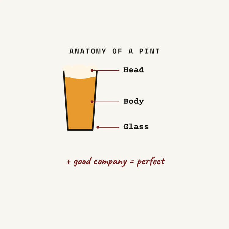 Anatomy of a Pint diagram paper coaster design from the Pub & Beer collection in off-white, amber and burgundy